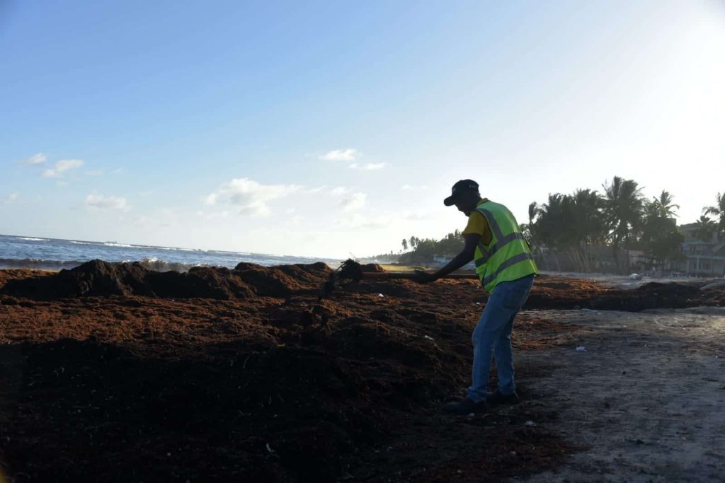 Sargazo trastorna el comercio en la playa Del Pescador, de Guayacanes