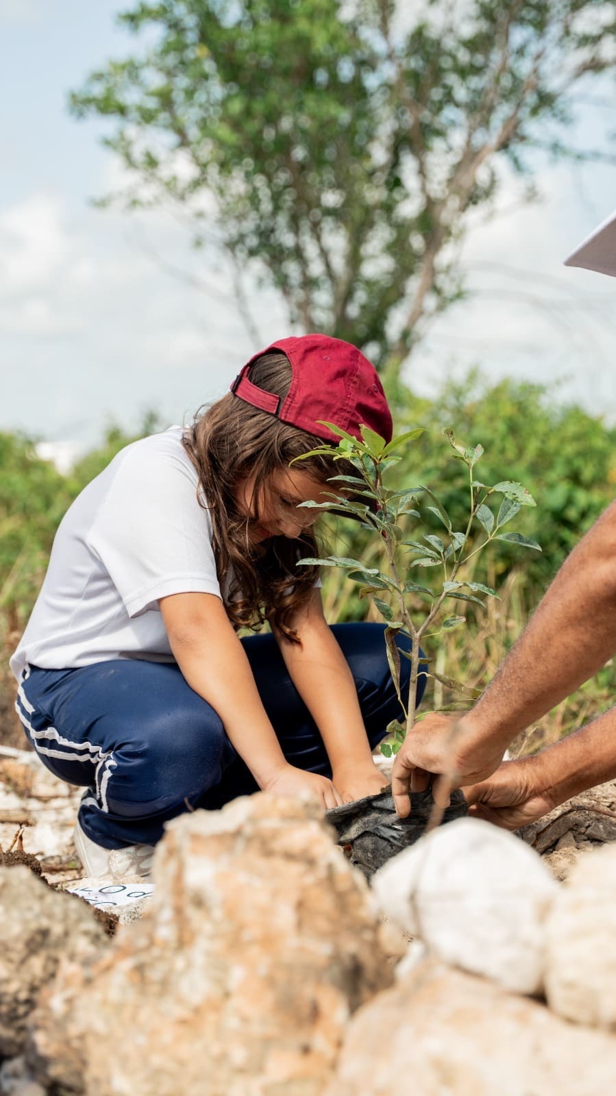 Paseo del Sendero y Hope Academy siembran árboles