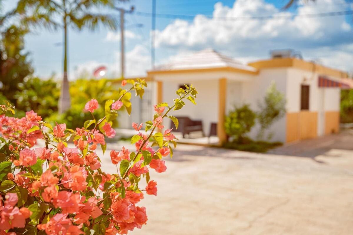 Maxims House: Un oasis en Pedernales